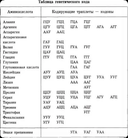 ДНК - носій наследсвенной нформации