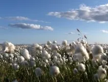 Фосфорні добрива, довідник