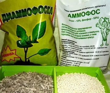 Фосфорні добрива - властивості, які бувають, як вносити (фосфорні) Фосфорні добрива - властивості, які бувають, як вносити