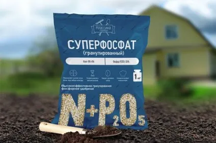 Фосфорні добрива - властивості, які бувають, як вносити (які) Фосфорні добрива - властивості, які бувають, як вносити