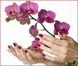 Гель-лак для нігтів - shellac (шелак) або gelish (геліш) (нігтів) Гель-лак для нігтів - shellac (шелак) або gelish (геліш)