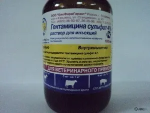 Гентаміцину сульфат 4% (розчин для ін'єкцій) для кішок і собак, відгуки про застосування препаратів для (гентаміцину) Гентаміцину сульфат 4% (розчин для ін'єкцій) для кішок і собак, відгуки про застосування препаратів для