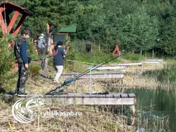 Де і на що ловити форель в ленінградській області всі види риби способи і місця лову у водоймах (форель) Де і на що ловити форель в ленінградській області всі види риби способи і місця лову у водоймах