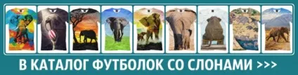 Де купити незвичайну футболку (Матеріал 100% бавовна) Де купити незвичайну футболку