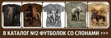 Де купити незвичайну футболку (представлені нашому інтернет-магазині) Де купити незвичайну футболку