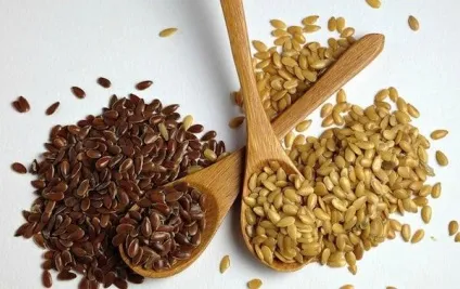 Герань користь і шкода