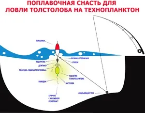 Виготовлення донної снасті для лову товстолоба (виготовлення) Виготовлення донної снасті для лову товстолоба