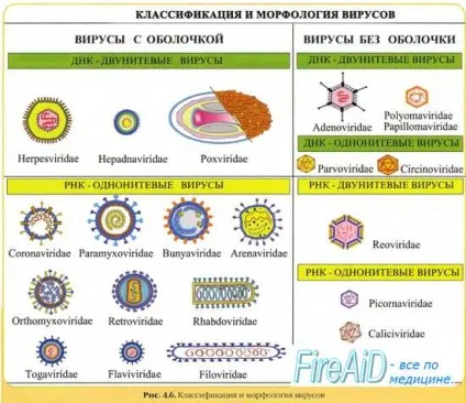 Інтенсивність епідемічного процесу