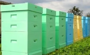 Яким чином зробити будиночок для бджіл і як утеплити його на зиму (бджіл) Яким чином зробити будиночок для бджіл і як утеплити його на зиму