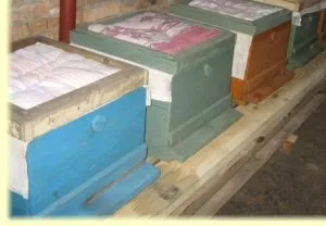 Яким чином зробити будиночок для бджіл і як утеплити його на зиму (бджіл) Яким чином зробити будиночок для бджіл і як утеплити його на зиму