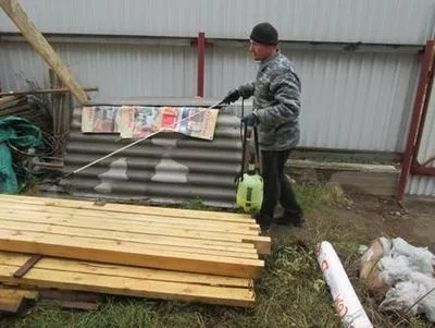 Як позбутися від шашеля в будинку