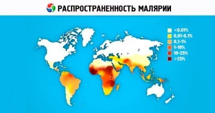 Які хвороби переносять комарі вУкаіни малярія, хвороба ЗІКу, лімфатичний філяріатоз, жовта (переносять) Які хвороби переносять комарі вУкаіни малярія, хвороба ЗІКу, лімфатичний філяріатоз, жовта