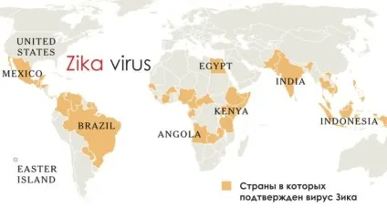 Які хвороби переносять комарі вУкаіни малярія, хвороба ЗІКу, лімфатичний філяріатоз, жовта (хвороби) Які хвороби переносять комарі вУкаіни малярія, хвороба ЗІКу, лімфатичний філяріатоз, жовта