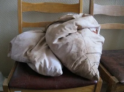 Як позбутися від пилових кліщів в квартирі чим вони небезпечні (пилових кліщів квартирі) Як позбутися від пилових кліщів в квартирі чим вони небезпечні