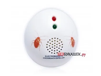 Як позбутися від домашніх мурашок ефективні засоби від мурах у квартирі (кошти) Як позбутися від домашніх мурашок ефективні засоби від мурах у квартирі