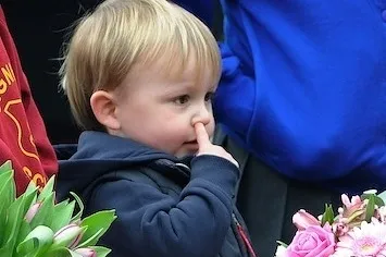 Як відучити дитину колупатися в носі, як відучити дитину (дитини) Як відучити дитину колупатися в носі, як відучити дитину