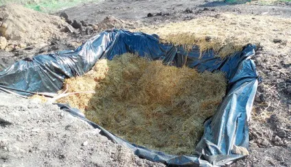 Який краще торф'яної туалет для дачі відгуки, поради від експертів (краще) Який краще торф'яної туалет для дачі відгуки, поради від експертів