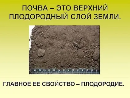 Як намалювати плакат на тему - бережіть грунт! (Тему) Як намалювати плакат на тему - бережіть грунт!