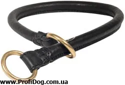 Як підібрати нашийник-зашморг, профідог