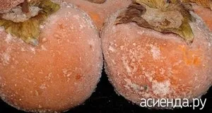 Як правильно зберігати хурму (зберігати) Як правильно зберігати хурму