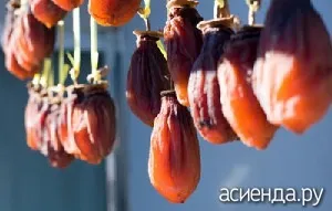 Як правильно зберігати хурму (зберігання хурми) Як правильно зберігати хурму