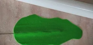 Як зробити пальму з мастики своїми руками (майстер-клас) Як зробити пальму з мастики своїми руками