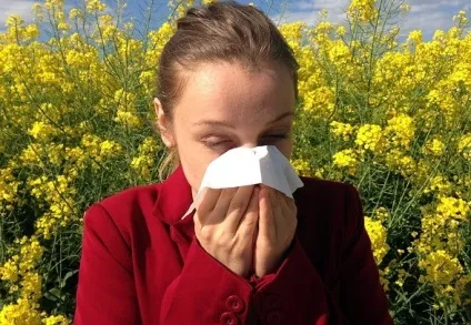 Як впоратися з алергічним нежиттю (алергічних) Як впоратися з алергічним нежиттю