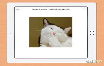 Як відтворити відео з ipad на телевізорі (ipad) Як відтворити відео з ipad на телевізорі