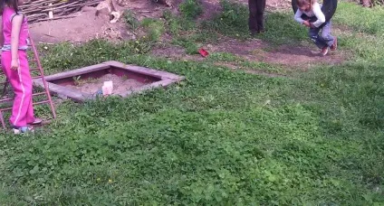 Яку газонну траву вибрати для дитячого майданчика (сорти) Яку газонну траву вибрати для дитячого майданчика