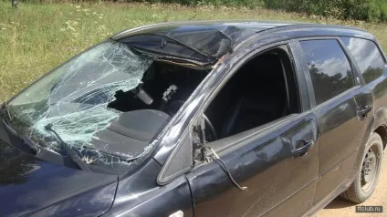 Як я у відпустку з'їздив