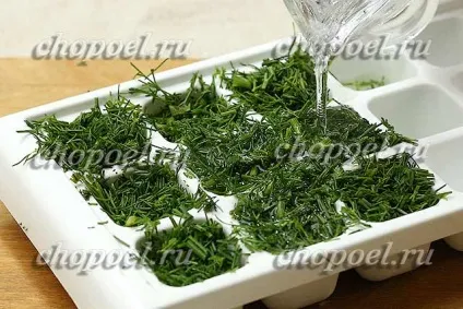 Як заморозити кріп на зиму - три способи заморозки (способу) Як заморозити кріп на зиму - три способи заморозки