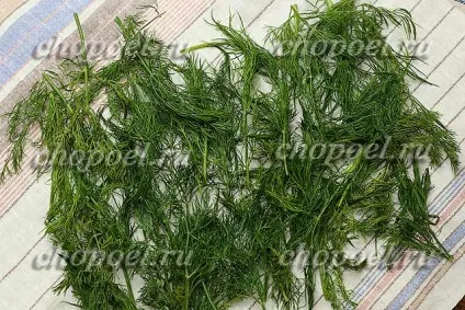 Як заморозити кріп на зиму - три способи заморозки (способу) Як заморозити кріп на зиму - три способи заморозки