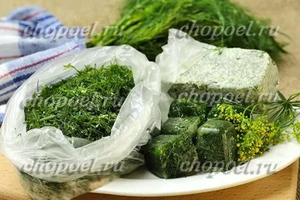 Як заморозити кріп на зиму - три способи заморозки (способу) Як заморозити кріп на зиму - три способи заморозки