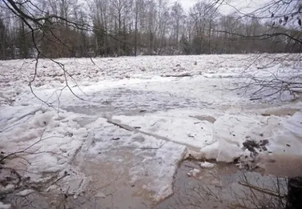 Як рівень води впливає на клювання риби (рівень) Як рівень води впливає на клювання риби