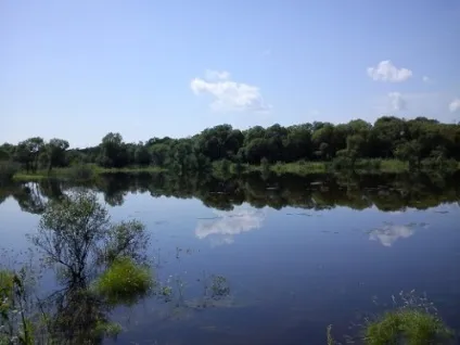 Як рівень води впливає на клювання риби (води) Як рівень води впливає на клювання риби
