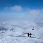 Коли йти за грибами - краще час для збору грибів, travellife - подорожувати в кайф! (Грибів) Коли йти за грибами - краще час для збору грибів, travellife - подорожувати в кайф!