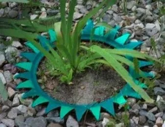 Клумби з покришок своїми руками покрокова фото інструкція (руками) Клумби з покришок своїми руками покрокова фото інструкція