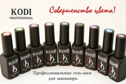 Kodi гель лак як наносити, як отримати ефект котяче око, палітра кольорів і відео інструкції (очей) Kodi гель лак як наносити, як отримати ефект котяче око, палітра кольорів і відео інструкції