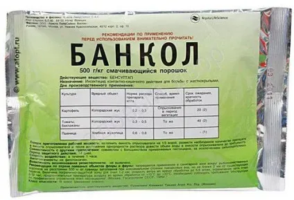 Клоп солдатик - шкода і методи позбавлення (позбавлення) Клоп солдатик - шкода і методи позбавлення