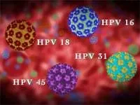 Кондиломи і папіломи чим вони відрізняються, методи лікування (кондиломи) Кондиломи і папіломи чим вони відрізняються, методи лікування