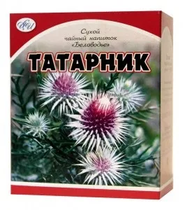 Колючий татарник і чим він корисний для людини (запаленні сечового міхура) Колючий татарник і чим він корисний для людини