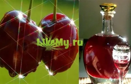 Компот з вишні на зиму - рецепти на 3 літрову банку (компот) Компот з вишні на зиму - рецепти на 3 літрову банку