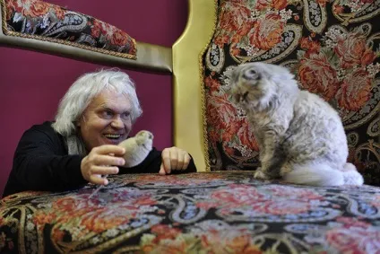 Котики і кави 10 кращих «котокафе» світу від Харкова до токіо (котокафе) Котики і кави 10 кращих «котокафе» світу від Харкова до токіо