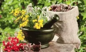 Лікування гіпертонії народними засобами рецепти, поради (гіпертонії) Лікування гіпертонії народними засобами рецепти, поради