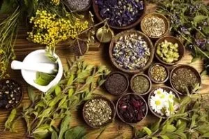 Лікування варикозу вен на ногах травами, які трави застосовувати при (травами) Лікування варикозу вен на ногах травами, які трави застосовувати при