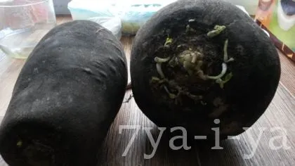Лікування редькою з медом захворювань дихальної сист (медом) Лікування редькою з медом захворювань дихальної сист