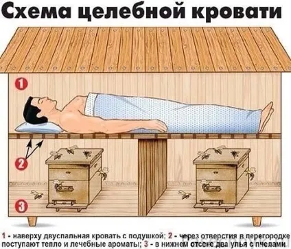 Лікування бджолами бджолиний будиночок сон на вуликах (будиночок) Лікування бджолами бджолиний будиночок сон на вуликах