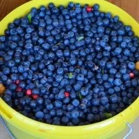 Масаж при ішемічному інсульті як важлива частина реабілітації (порушень кровообігу головного) Масаж при ішемічному інсульті як важлива частина реабілітації