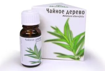 Масло авокадо для волосся корисні властивості, рецепти масок і способи застосування одного з найбільш (масло) Масло авокадо для волосся корисні властивості, рецепти масок і способи застосування одного з найбільш