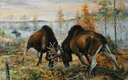 Лось може бути небезпечним (лось) Лось може бути небезпечним